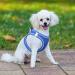 Heele Dog Harness for Small & Medium Dogs - Adjustable Reflective Soft Mesh in Royal Blue (2XS) - Breathable & Comfortable - Buy Online on SooperMarket.com