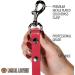 Logical Leather 6ft Heavy Duty Full Grain Leather Dog Leash - Pink - Buy Online on SooperMarket.com