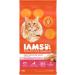IAMS Perfect Portions Wet Cat Food (Chicken & Salmon) + IAMS Proactive Health Adult Dry Cat Food with Salmon Cat Food + Cat Food with Salmon Chicken and Salmon 75 g (Pack of 12) - Buy Online on SooperMarket.com