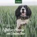 Aniforte Grasmilbel Ex Spray 500ml - Effective Grass Mite & Parasite Defense for Dogs | Soothes Itchy Skin - Buy Online on SooperMarket.com