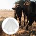 POPETPOP Milk Hood | Calf Weaner Tool & Cow Breastfeeding Equipment - Outdoor Farm Supplies - Buy Online on SooperMarket.com