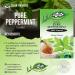 Dalgety Pure Peppermint Herbal Infusion 6x72g Cartons (6 Pack) 100% Natural Tea (Total 108 Teabags) Delicious and Packed with Unique Health Benefits - Buy Online on SooperMarket.com