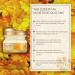 The Face Shop Calendula Essential Moisture Eye Cream - Lightweight Non-Greasy Formula for Soothing Eye Comfort - Buy Online on SooperMarket.com