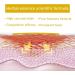 JIAWEIIY Patch Quick Slimming Patch Belly Slim Patch Abdomen Burning Fat 100Pcs - Buy Online on SooperMarket.com