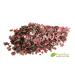 Buy Organic Dulse Flakes | Wild Atlantic Algae | Vegan Umami Seasoning | Pureeraw 25g - International Shipping Available - Buy Online on SooperMarket.com