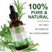 Rosemary Oil for Hair Growth & Loss Regrowth Treatment - 2.02 oz | Strengthens, Nourishes Scalp, Improves Circulation - Men & Women - Buy Online on SooperMarket.com