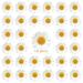 120 Pieces Real Dried Daisy Flowers Natural Dried Daisies DIY Dry Daisy Petals Pressed Chrysanthemum Flowers for Album Scrapbooks Resin Soap Art Decors Handicrafts (Primary Color) (Primary Color)