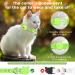 Airtag Cat Collar with Holder & Bell | Reflective Safety Neck Band for Kittens & Puppies - Green - Buy Online on SooperMarket.com