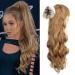 REECHO Ponytail Extensions, Easy Claw Clip in Hair Extensions 16 Inch Natural Lightweight Pony Tails Hairpieces for Women - Dark Blonde 16 Inch Dark Blonde