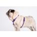 CHABA Adjustable Dog Harness for Medium Dogs - Anti-Pull Comfortable Lightweight Step-In Design Perfect for Running - Available in Violet - Buy Online on SooperMarket.com