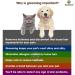 SunGrow Deshedding Brush for Short-Haired Pets - 2.5 Stainless Steel Blade Comb for Dogs, Cats, Puppies, Kittens, and Small Animals - Grooming Tool for Shedding Control - Buy Online on SooperMarket.com
