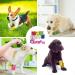 8 Rolls Dog Bandage Self Adhesive Cohesive Dog Bandage Vet Wrap for Dogs Non-Woven Elastic Dog Paw Bandage for Legs Paws Wrist Ankle 5cm X 4.5m (Multicolor) - Buy Online on SooperMarket.com