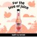 Pink Grapefruit Soda 275ml Pack of 12 From Bon Accord Plant Based Pink Grapefruit Fizzy Soft Drink with Natural Flavours and No Artificial Sweeteners - Buy Online on SooperMarket.com