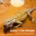 Repti Home 75W Reptile Heating Lamp - 2 Pack | Ideal for Turtles Lizards Snakes & Amphibians - Perfect Terrarium Heat Source - Buy Online on SooperMarket.com