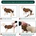 Kuoser Dog Body Post-Op for Male & Female Dogs - Breathable & Leakage Protection - Anti-Licking Recovery Suit (Brown Size M - 1 Pack) - Buy Online on SooperMarket.com