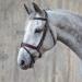 Sunride English combined bridle Hawaii with reins made of soft real leather colored adjustable and anatomical (full brown/pink) full brown/pink