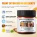 Dark Spot Corrector Cream - Underarm Knee Elbow & Intimate Skin Treatment - 4.21oz - Buy Online on SooperMarket.com