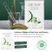BALLONBLANC Relaxing Facial Mask Set - 6 Nutrient-Rich Sheet Masks with Aloe, Tea Tree & Avocado - Buy Online on SooperMarket.com