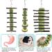 Erkoon Natural Timothy Hay Rabbit & Small Animal Chew Cubes | Dental Care Treats for Hamsters Chinchillas Guinea Pigs & More - Buy Online on SooperMarket.com