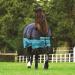 Horseware Mio T/O Lite Turnout Rug - Waterproof Black/Turquoise | International Shipping Available - Buy Online on SooperMarket.com