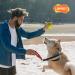 Laroo Durable Natural Rubber Dog Ball | Squeaker Toy for Small & Large Dogs | 9cm Green Dog Football - Buy Online on SooperMarket.com