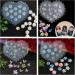 3D Nail Art Silicone Forms - Floral Butterfly Decorations & DIY Templates for Perfect Nail Art - Buy Online on SooperMarket.com