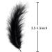 100pcs Black Feathers for Crafts & Dreamcatcher Making - DIY Fringe Trim & Colored Material - Buy Online on SooperMarket.com