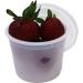 Vito's famous Deli Container with Lid 4 Ounce (Pack 50)