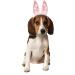 Rubie's Bunny Ears for Your Pet, Medium/Large, White Pink White Pink Medium/Large