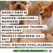 Dog Paw Balm for dogs cracked dry paws and pads itchy paws hot spots stop licking allergies paw butter nose balm lick safe made in the UK 30g - Buy Online on SooperMarket.com