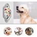Buy Ohmo Slip Mat Dog & Cat - 2 PCs Cute Cactus Design Leak Mat for Puppies Food-Grade Silicone for Pet Fear Relief & Slow Feeding - Ideal for International Shipping - Buy Online on SooperMarket.com