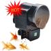 Podazz Aquarium Fish Feeder Vacation Aquarium Automatic Fish Food Dispenser Tank Feeder Timer Auto Feeders for Holiday Vacation Fish Dispenser (AF-2003D) AF-2003D Black - Buy Online on SooperMarket.com