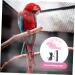 Beavorty 4 Sets Bird Leash Suspend Bird Training Bird Flying Harness Bird Harness Leashes Vest Clothing 12X6X1.3CMx4pcs Pinkx4pcs - Buy Online on SooperMarket.com