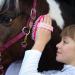 Animalon Horse Cleaning Tools for Kids | Ergonomic Pink Kard tsche | Flexible Children's Horse Brush & Gifts - Buy Online on SooperMarket.com