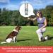 Byyt Ultrasound Dog Whistle - High Frequency Training Tool with Lanyard | Effective Bark Control & Dog Education - Buy Online on SooperMarket.com