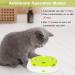Pettom Interactive Cat Toy | Electric Butterfly Funny Exercise Toy for Kittens | Rotating Pop N Play Toy with Replacement Feathers | Green - Buy Online on SooperMarket.com