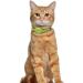 Oopsdoggy Leather Airtag Cat Collar with Bells - Tearable & Light GPS Pet Collar for Cats & Small Dogs in Lime Green - Buy Online on SooperMarket.com