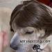 1 Piece Pet Wig Dog and Cat Cosplay Wig Christmas Dog Wig Large and Small Dog Wig Pet Wig with Bangs Suitable for Artistic Photos and Holiday Parties (Brown) - Buy Online on SooperMarket.com