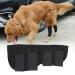 Stability Support Dog Leg Support Neoprene Pet Knee Guard Stabilize Arthritis for Dog Leg Guard(Black M) - Buy Online on SooperMarket.com