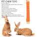 Pet Sweet Bamboo Sticks Rabbit Molar Sticks Promote Digestion 20pcs for Guinea Pig (Orange) - Buy Online on SooperMarket.com
