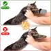 KALIONE Cat Boots 4 Packs cat Claw Covers Black Anti Scratch Cat Mittens Breathable Mesh Cat Foot Covers Adjustable Cat Claw Protectors for Indoor Cats Pet Bathing Cutting Nails Grey - Buy Online on SooperMarket.com