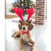 Lionheart Glory Christmas Hirsch Dog Shoe - Red Dwindle for Medium Dogs | 1 Pack Collar & Bowl - Buy Online on SooperMarket.com
