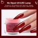 Buy Honey Joy 6 Box Dark Brown Dip Nail Powder Kit - No Lamp Cure Gel Polish Effect Smooth Finishing - Buy Online on SooperMarket.com