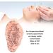 6.7 inch Silicone Ear Acupuncture Model - Ideal for Acupoint Learning & Home Care - Buy Online on SooperMarket.com