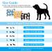 Dono 3-Pack Reflective Dog Diapers with Washable Belly Band for Small Medium & Large Dogs - Frying Eggs Design (L) - Buy Online on SooperMarket.com