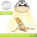 REPTI HOME Reptile Heat Lamp 125W Full Spectrum UVA UVB Sun Lamp Simulate Natural Sunlight Heat Lamp Bulb for Reptile and Amphibian Sun Light 125W - Buy Online on SooperMarket.com