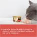 Gimcat Shinycat in Jelly Tuna & Salmon - Wet Cat Food with Taurine - 24 x 70g Cans - International Shipping - Buy Online on SooperMarket.com