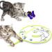 All for paws 2 in 1 cat toys hide-n-seek cat bar toys automatic kitten flutter toys with butterfly spinner cat movable spring toys for indoor cats flutter bug with hide Seek