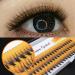 Bodermincer C Curl 0.07mm 60pcs Individual Fake Eyelash Cluster Extensions (8mm) - Buy Online on SooperMarket.com