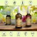 Pure & Natural Hair Oil 100ml - Jojoba Cedar Eucalyptus & Orange Oils for Dry & Brittle Hair - Treatment for Shine Smoothness & Split Ends - Buy Online on SooperMarket.com
